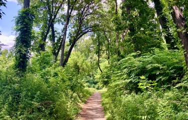 Old Croton Aqueduct Trail